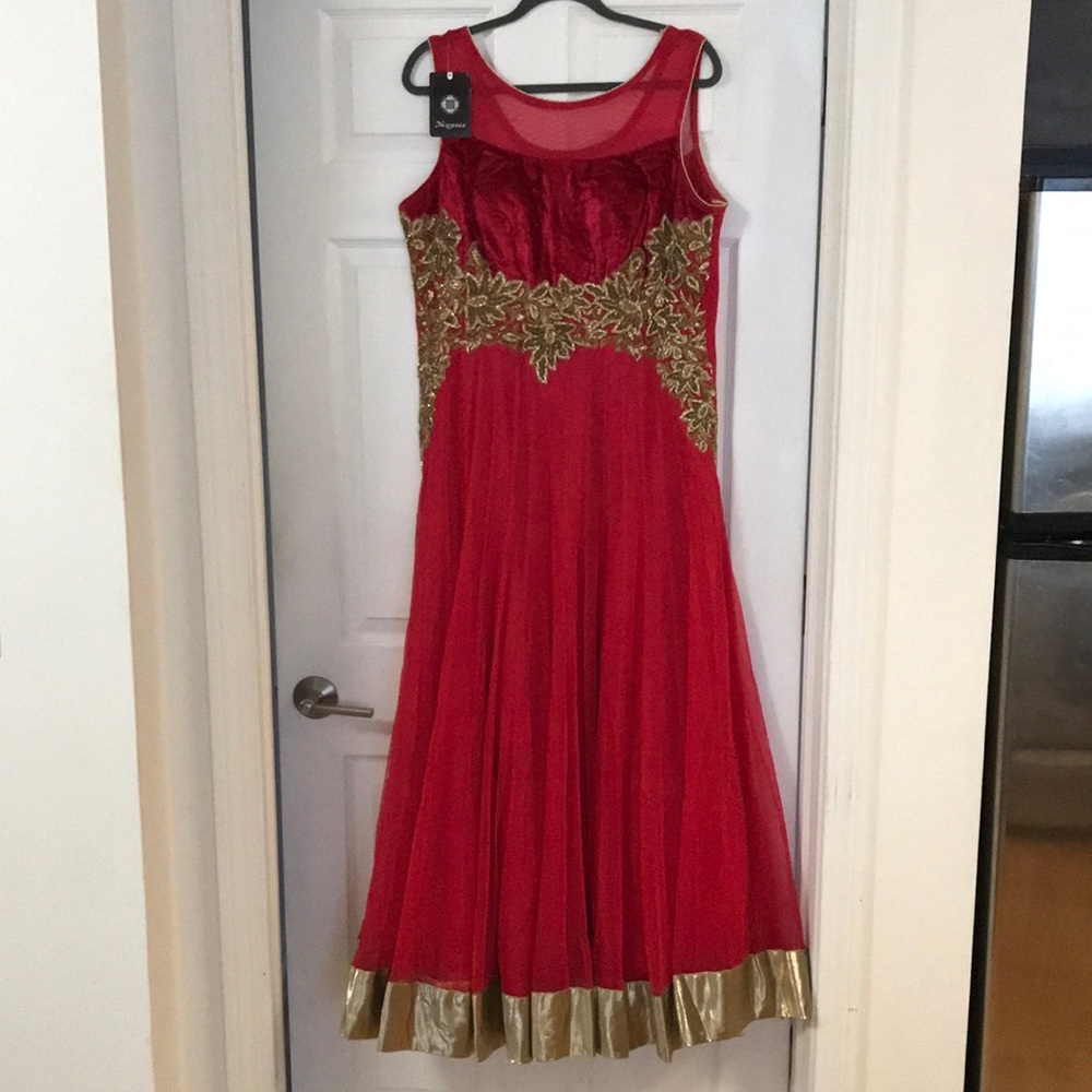 Indian/Pakistani Dress